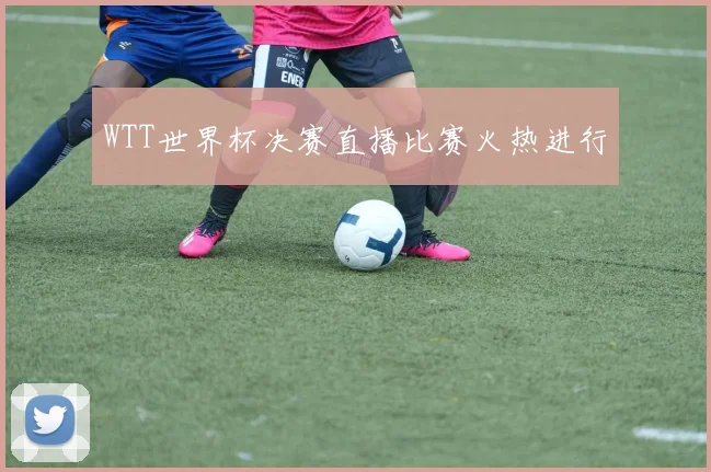 WTT世界杯决赛直播比赛火热进行
