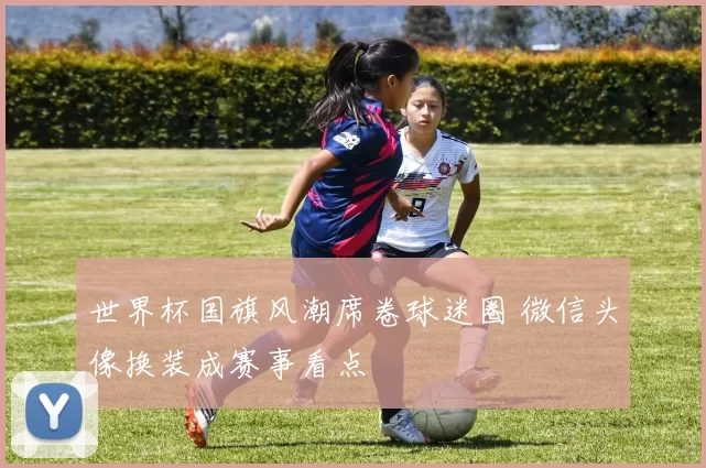 世界杯国旗风潮席卷球迷圈 微信头像换装成赛事看点