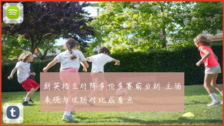 新英格兰对阵多伦多赛前分析 主场表现与攻防对比成看点