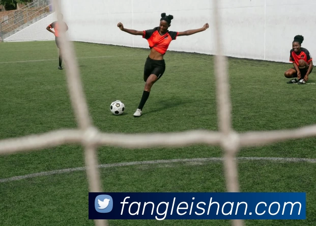 HTH华体会体育登录入口 - hth.com发展历程