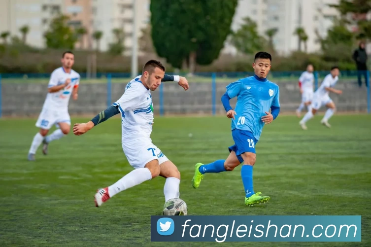 欧洲杯小组积分赛：C组点差决定出线，A队凭净胜球晋级B队出线受限